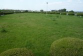 あちこちにこんな感じの芝生の広場があります。