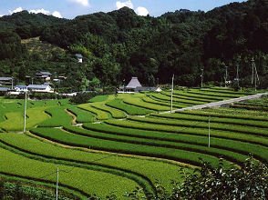 美里ふるさと村