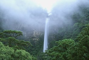 那智の滝