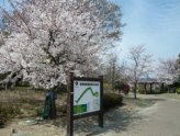 桜の木がたくさんあり、春にはお花見も楽しめます。