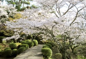 四季折々の草花が楽しめる橋本市にある公園 季節の写真
