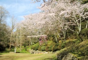 四季折々の草花が楽しめる橋本市にある公園 季節の写真