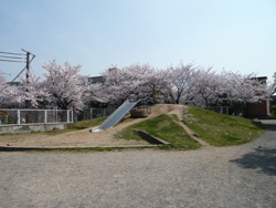 基地のようなワクワクする滑り台。