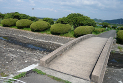 ちびっ子大好き♪　石の橋。