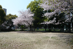 公園内にあるゲートボール場