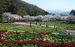 春の風景