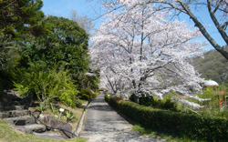 春の風景