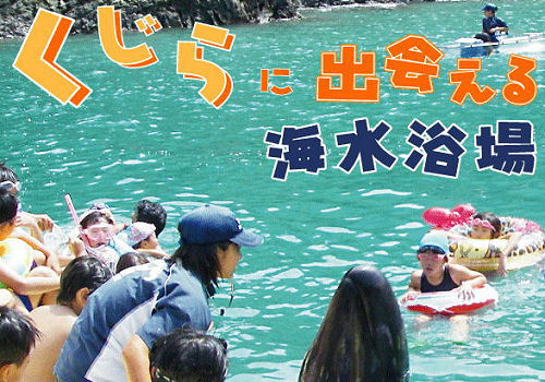 くじらと出会える海水浴場