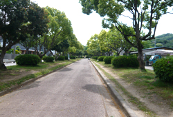 駐車場から風土記の丘に続く遊歩道