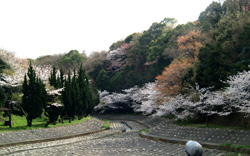 春の風景