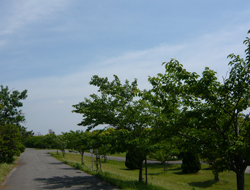 遊歩道