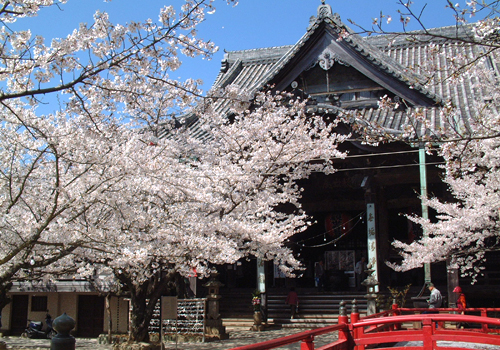 桜の名所としても全国に知られています