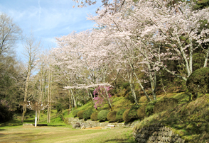 杉村公園の春