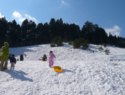 リフトはありません