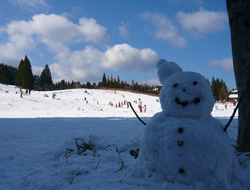 雪だるま作りも楽しめます。