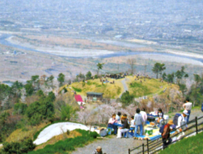 百合山遊歩道ハイキングコース