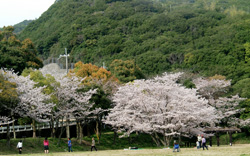 春の風景