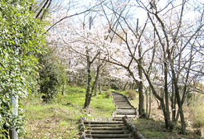 高野口公園の夜のライトアップは、デートにもおすすめ♪