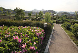 遊歩道