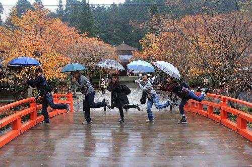 高野山の紅葉へいこうよ