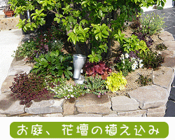 お庭、花壇の植え込み・植栽コーディネート