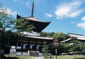 【紀北エリア】　根来寺