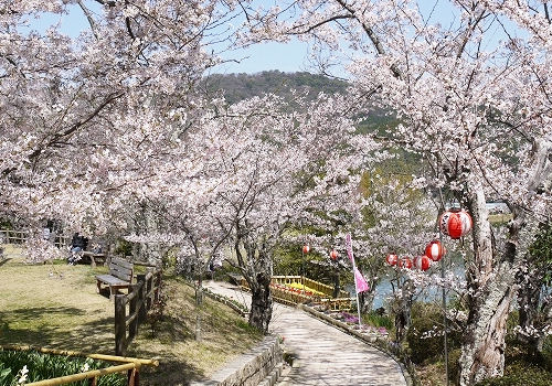 池の周りの4kmの遊歩道を散策しながらのんびりと自然が楽しめる。