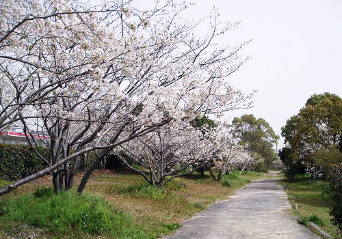 新宮港の一画に設けられた公園で緑の遊園地。