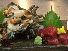 こんな立派な