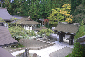 総寺院