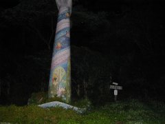 歌山のオカルトスポットを紹介！和歌山県和歌山市森林公園